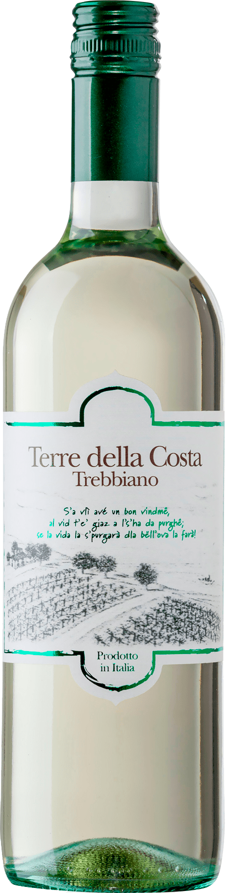 ALTRE TERRE Trebbiano Terre degli Osci 2019 IGT - agricolavinica